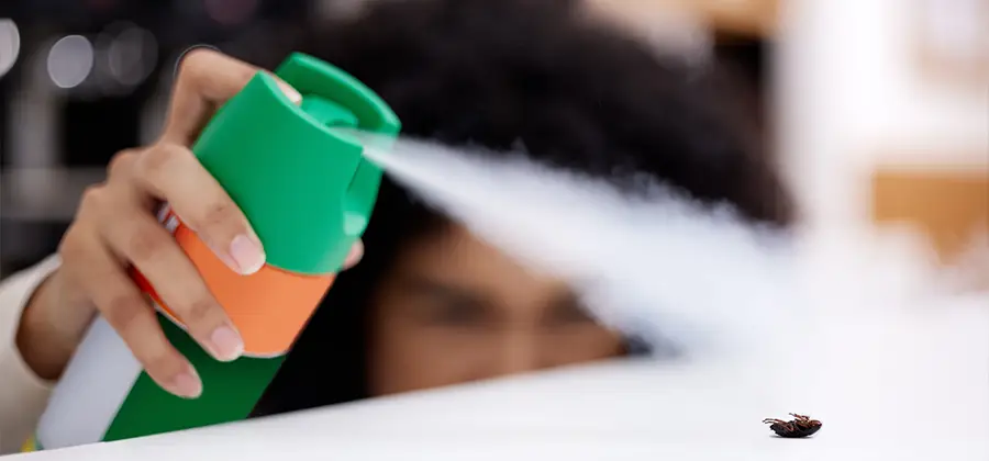 Child Safe Bed Bug Treatment in Cape Coral