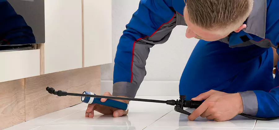 Moisture Treatment For Termite Control Service in Cape Coral