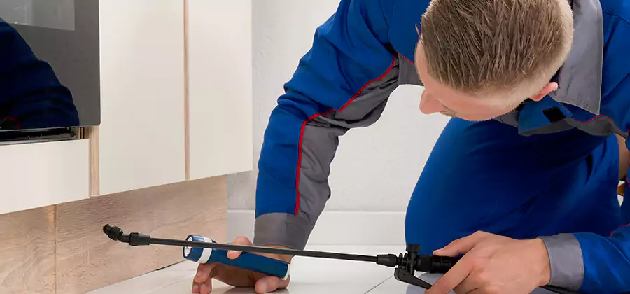 Annual Termite Inspection Cost in Cape Coral