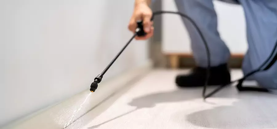 Direct Termite Injection Treatment in Cape Coral