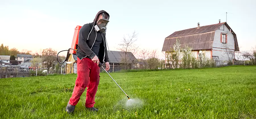 Flea and Tick Pest Control in Cape Coral