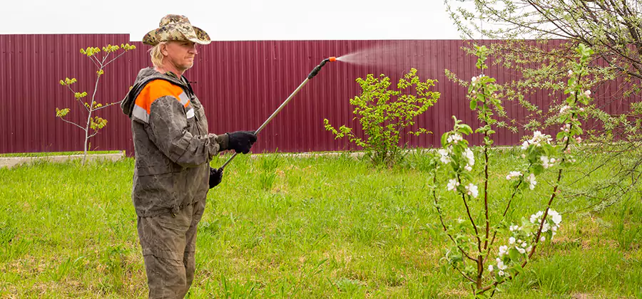 Flea and Tick Spray for Yard in Cape Coral