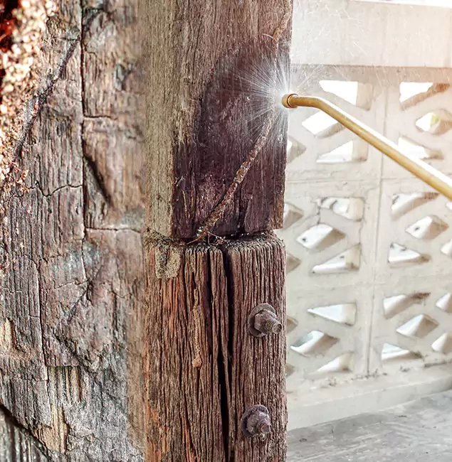 Why Choose Cape Coral Pest Controls for Attic Termite Treatment in Cape Coral, FL?