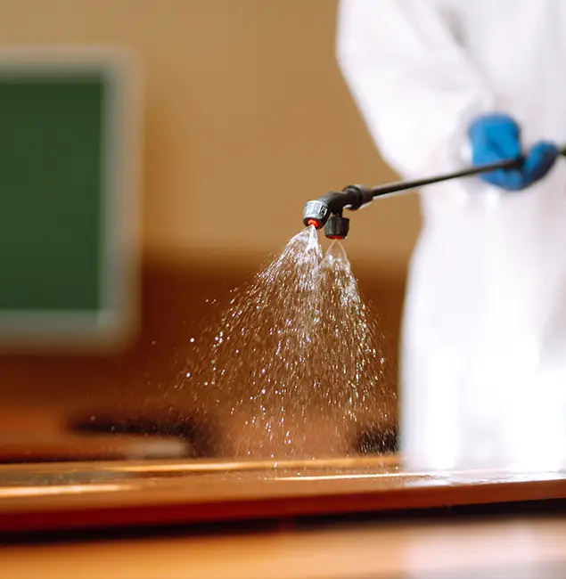 Why Choose Cape Coral Pest Controls for Bed Bug Chemical Treatment in Cape Coral, FL?