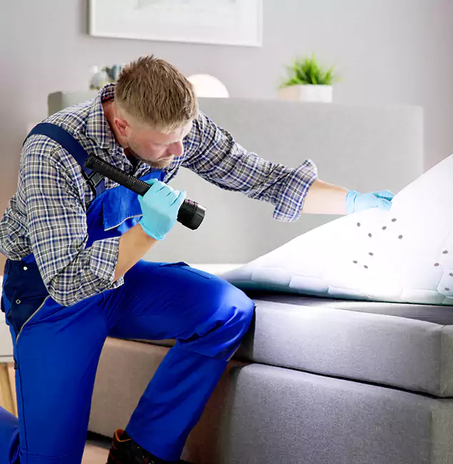 Why Choose Cape Coral Pest Controls for Bed Bug Exterminator Cost in Cape Coral, FL?