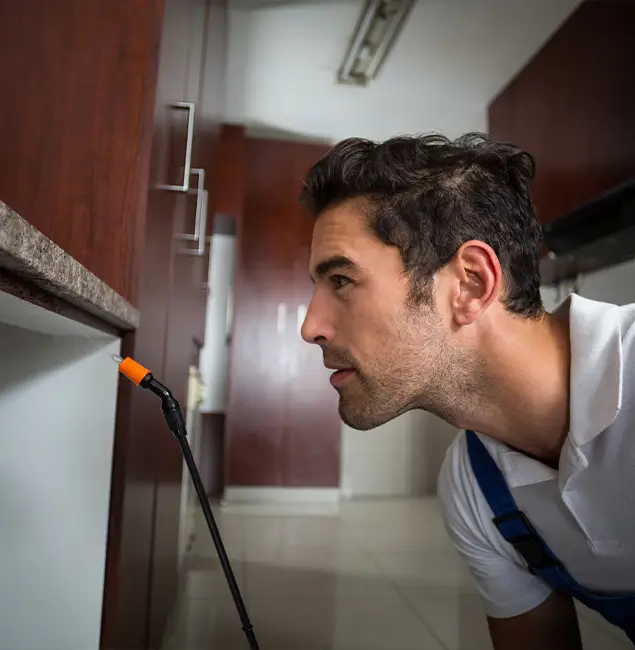 Why Choose Cape Coral Pest Controls for Bed Bug Removal Cost in Cape Coral, FL?