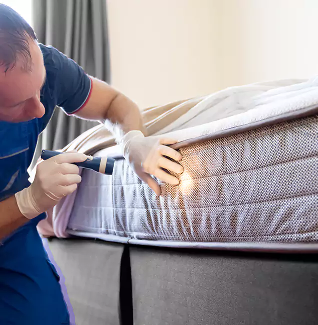 Why Choose Cape Coral Pest Controls for Bed Bug Services in Cape Coral, FL?