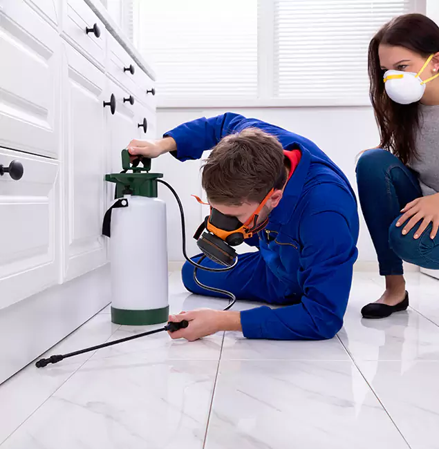Why Choose Cape Coral Pest Controls in Cape Coral, FL?