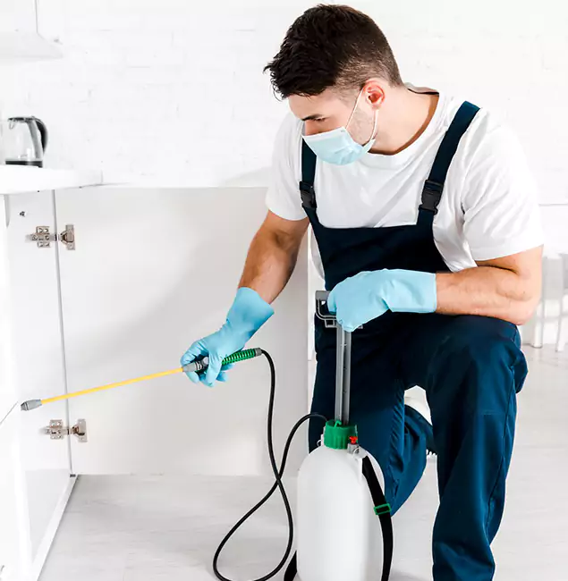 Why Choose Cape Coral Pest Controls for Emergency Pest Control in Cape Coral?