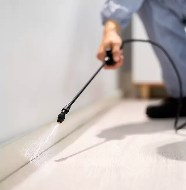 Why Choose Cape Coral Pest Controls for Termite Treatment in Cape Coral, FL?