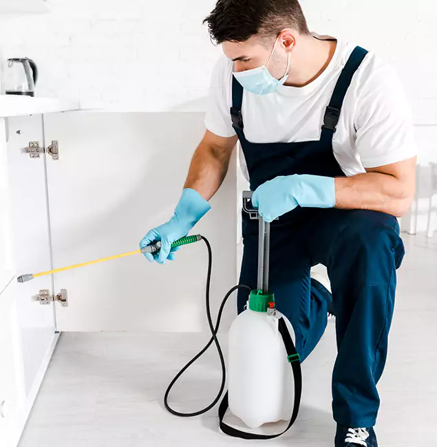Why Cape Coral, FL Homeowners Trust Us for German Roach Control?