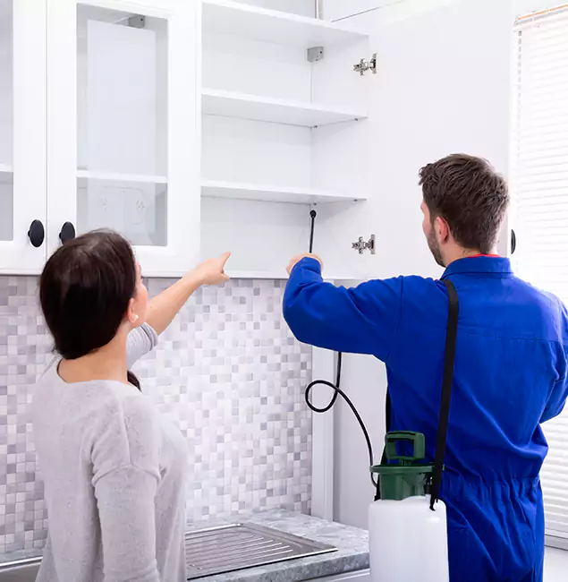 Why Cape Coral Property Owners Choose Cape Coral Pest Controls for Ground Bee Removal?