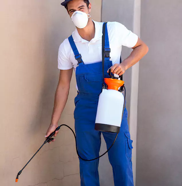 What Makes Cape Coral Pest Controls the Right Choice in Cape Coral, FL?