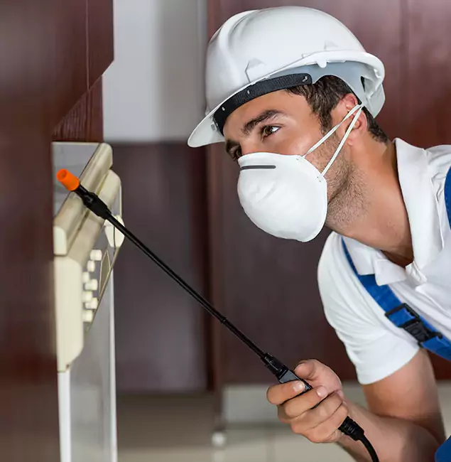 Why Cape Coral Homeowners Rely on Cape Coral Pest Controls for Tick Treatment?