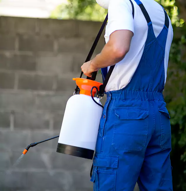 Why Cape Coral Homeowners Rely on Cape Coral Pest Controls for Mosquito Control?