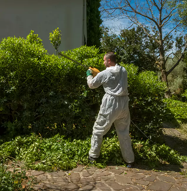 Why Cape Coral Pest Controls Leads Mosquito Control in Cape Coral, FL?