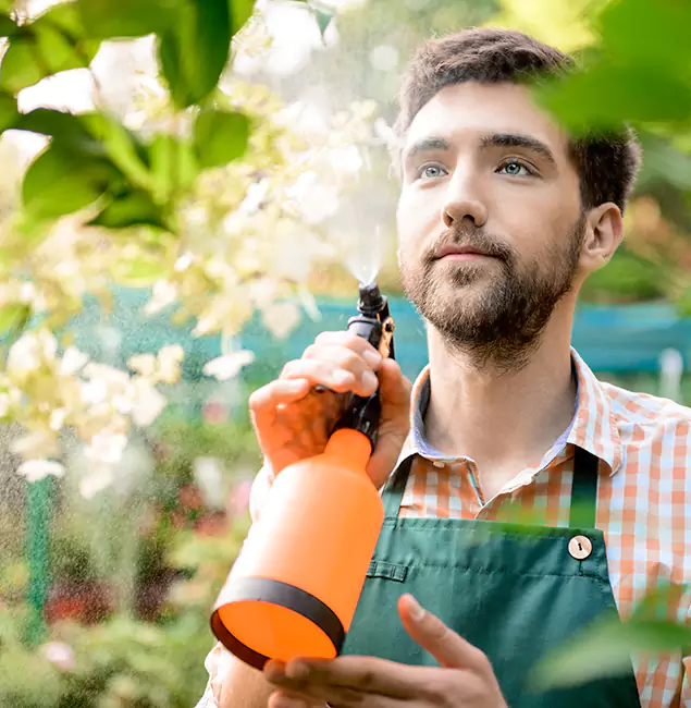 Why Cape Coral Pest Controls Is the Best Mosquito Control Company in Cape Coral, FL?