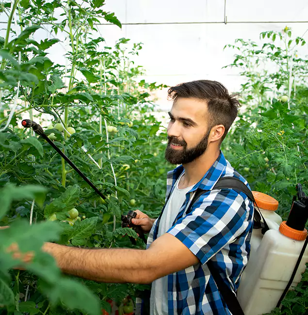 Why Cape Coral Homeowners Choose Cape Coral Pest Controls for Mosquito Spraying?