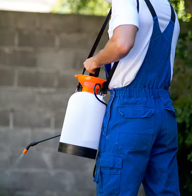 Why Cape Coral Pest Controls Delivers the Best Mosquito Control in Cape Coral, FL?