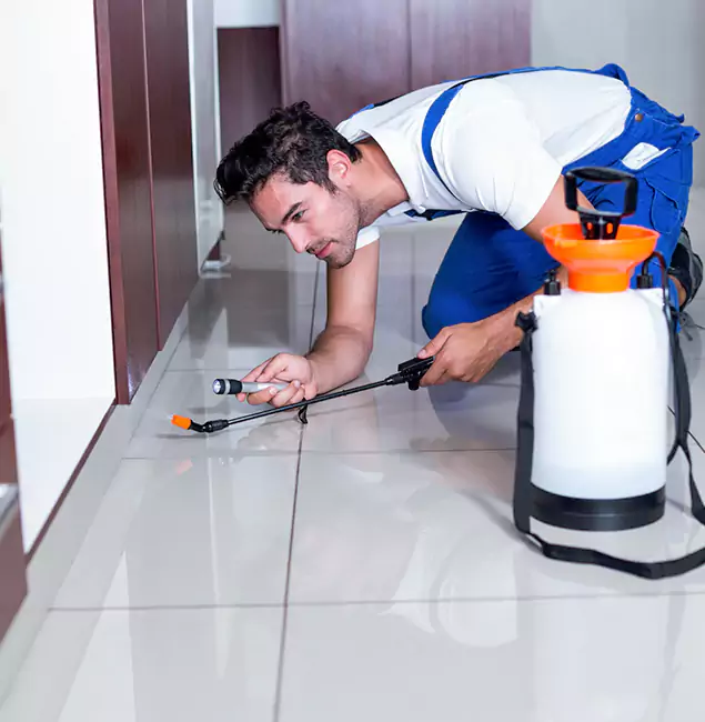 Why Cape Coral Pest Controls Is the Proven Choice in Cape Coral, FL?