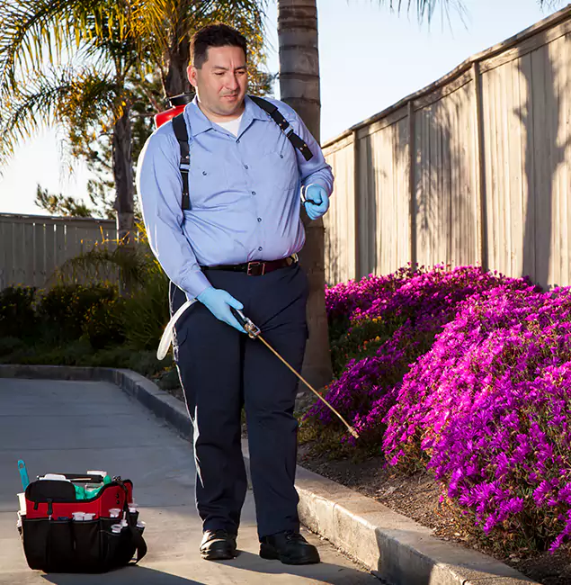 Why Choose Cape Coral Pest Controls in Cape Coral, FL?