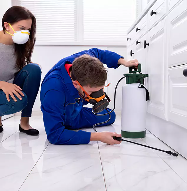 Why Choose Cape Coral Pest Controls in Cape Coral, FL?