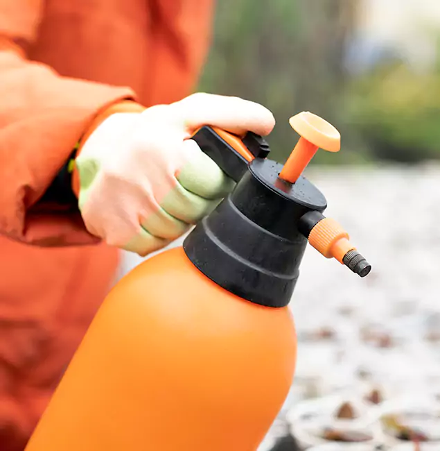 Why Choose Cape Coral Pest Controls for Orange Termite Treatment in Cape Coral, FL?