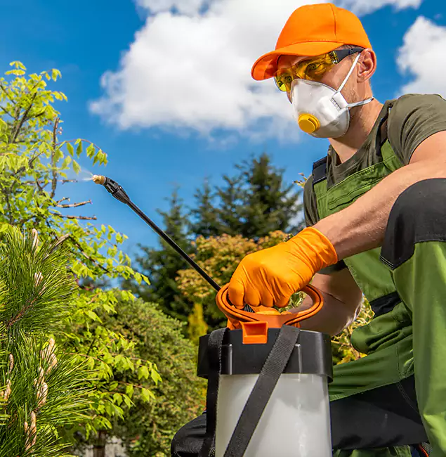 Why Choose Cape Coral Pest Controls for Outdoor Pest Control in Cape Coral, FL?