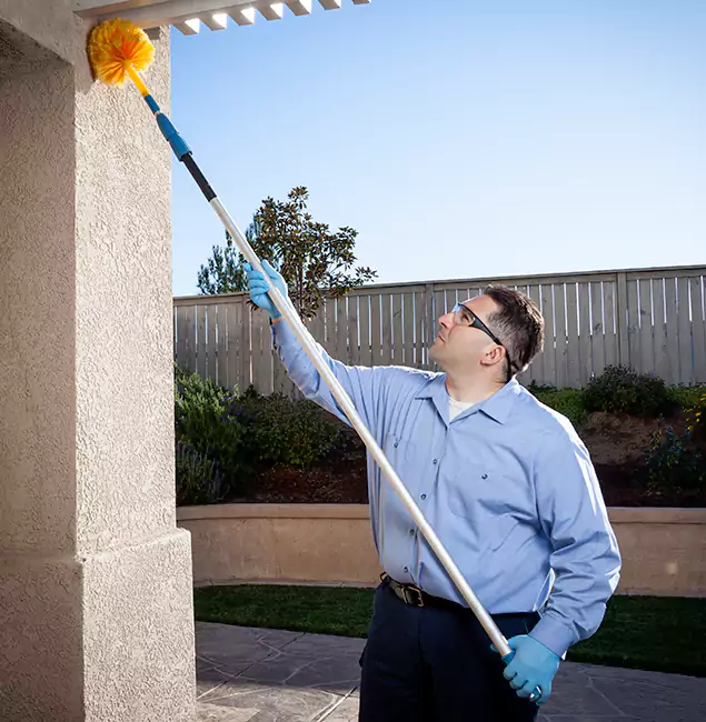Why Choose Cape Coral Pest Controls for Pest Control Services in Cape Coral, FL?