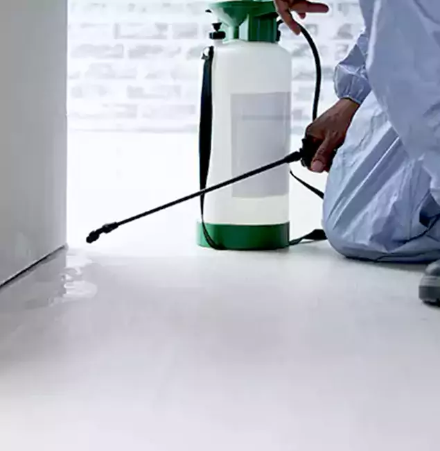 Why Choose Cape Coral Pest Controls for Rat Exterminator in Cape Coral, FL?