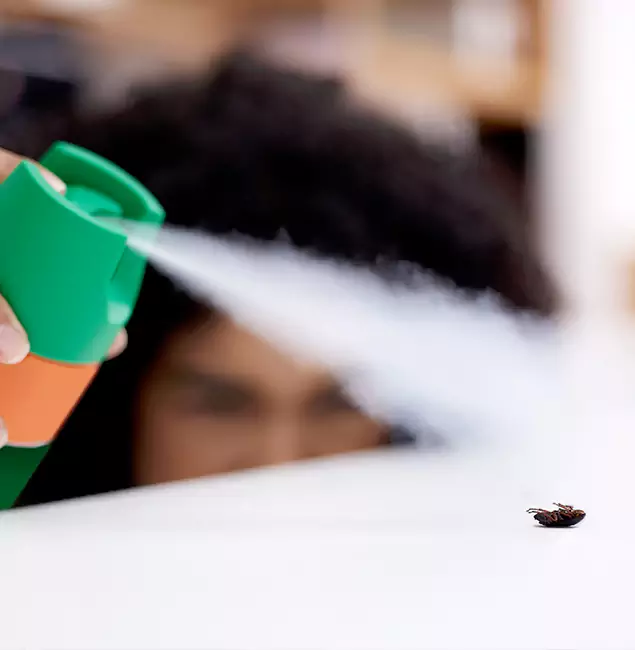 Why Cape Coral, FL Homeowners Choose Cape Coral Pest Controls for Roach Pest Control?