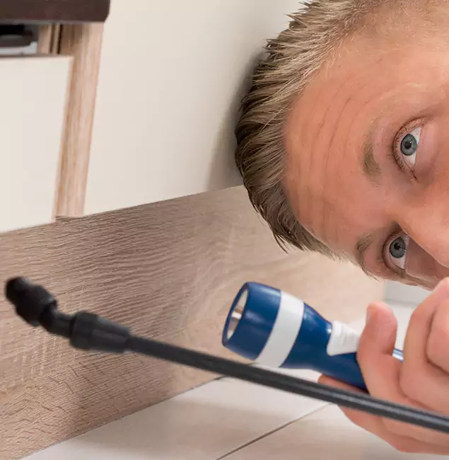 Why Choose Cape Coral Pest Controls for Rodent Exterminator in Cape Coral, FL?