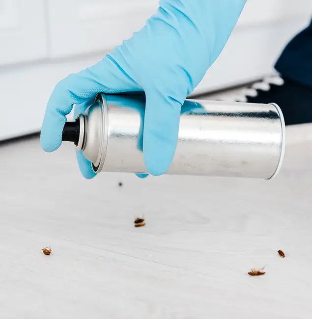 Why Choose Cape Coral Pest Controls for Safe Bed Bug Treatment in Cape Coral, FL?