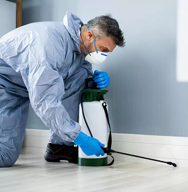 Why Choose Cape Coral Pest Controls for Subterranean Termites Treatment in Cape Coral, FL?