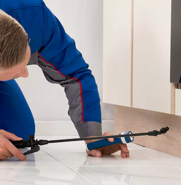 Why Cape Coral Residents Choose Cape Coral Pest Controls to Get Rid of Sugar Ants?