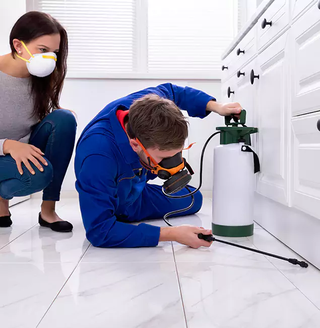 Why Choose Cape Coral Pest Controls for Termite Inspection Cost in Cape Coral, FL?