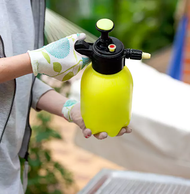 Why Choose Us: Cape Coral Pest Controls Termite Spraying Experts in Cape Coral, FL?