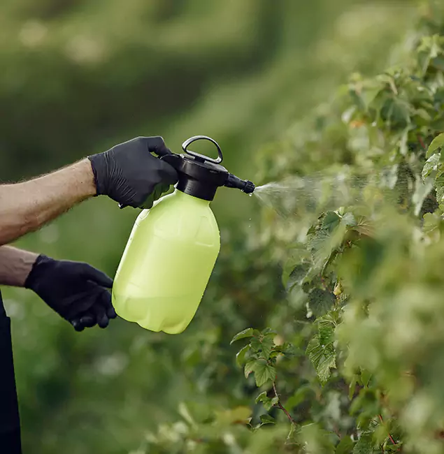 Why Cape Coral Homeowners Choose Cape Coral Pest Controls for Yard Tick Treatment?