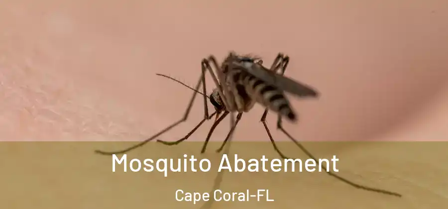  Mosquito Abatement Cape Coral-FL