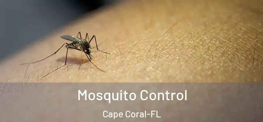  Mosquito Control Cape Coral-FL