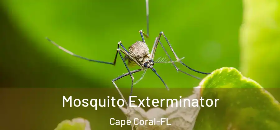  Mosquito Exterminator Cape Coral-FL