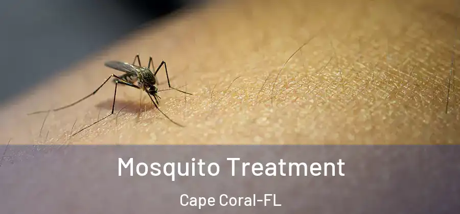 Mosquito Treatment Cape Coral-FL