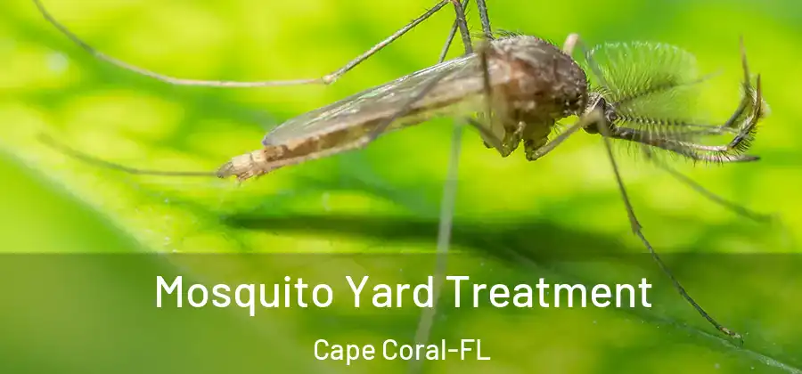 Mosquito Yard Treatment Cape Coral-FL