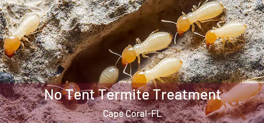  No Tent Termite Treatment Cape Coral-FL