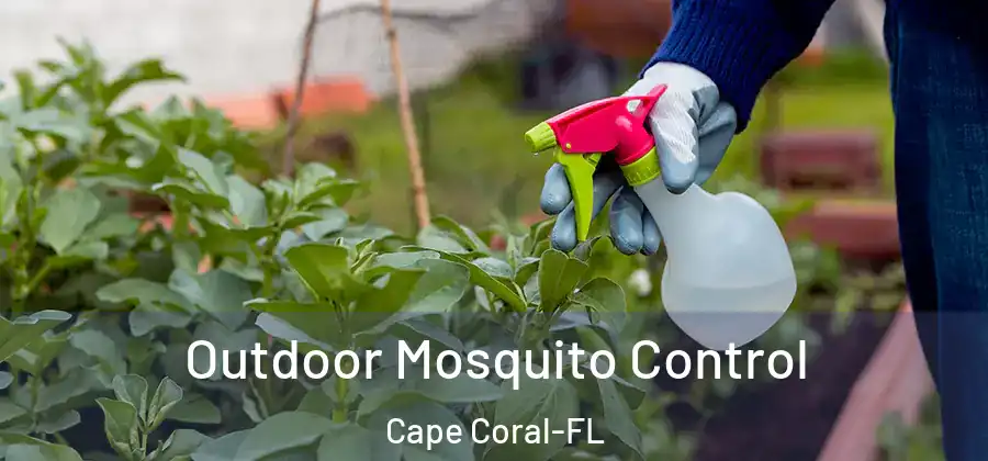 Outdoor Mosquito Control Cape Coral-FL