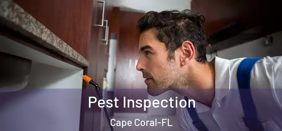 Pest Inspection Cape Coral-FL