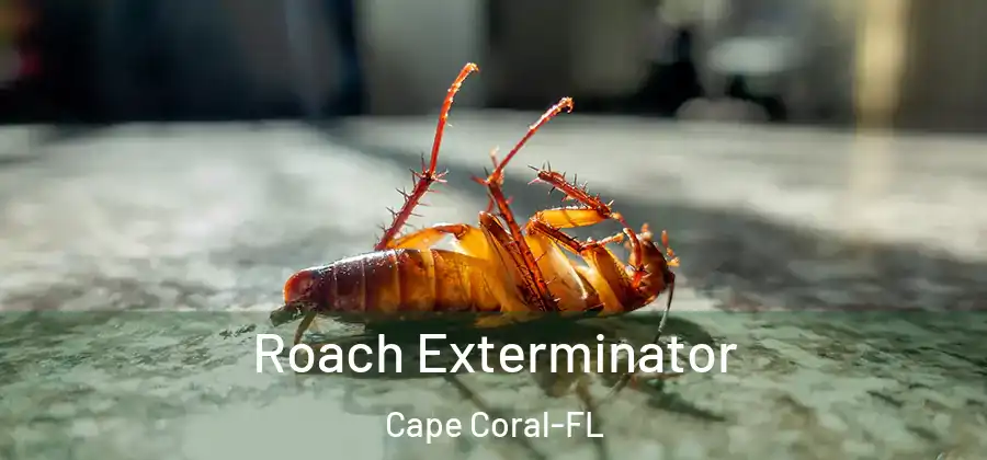  Roach Exterminator Cape Coral-FL