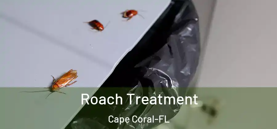 Roach Treatment Cape Coral-FL