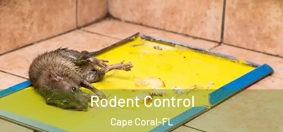 Rodent Control Cape Coral-FL