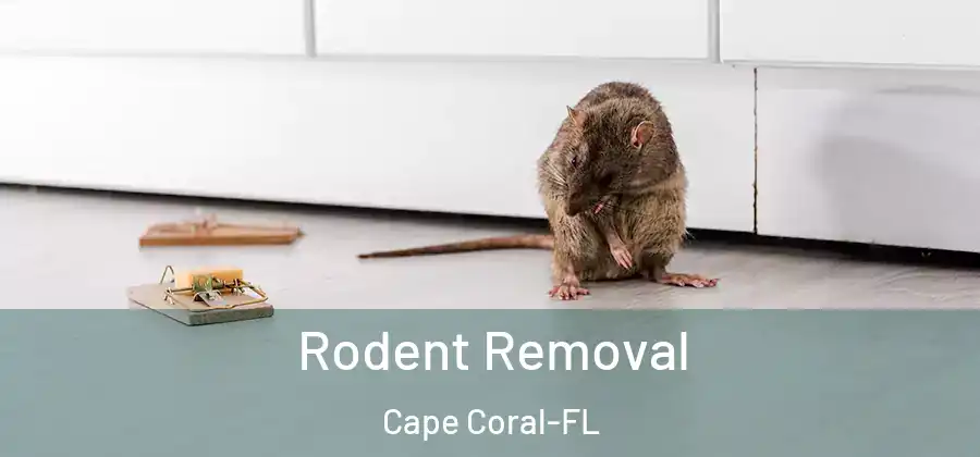  Rodent Removal Cape Coral-FL